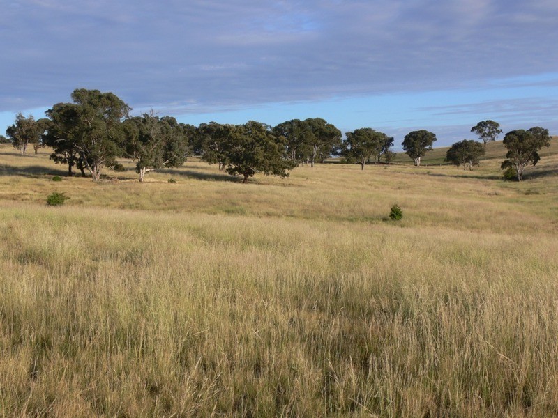 787 Crookwell Road, Goulburn NSW 2580