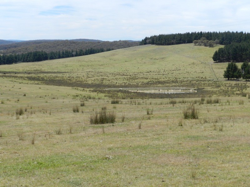 167 Craigs  Road, Yalbraith NSW 2580