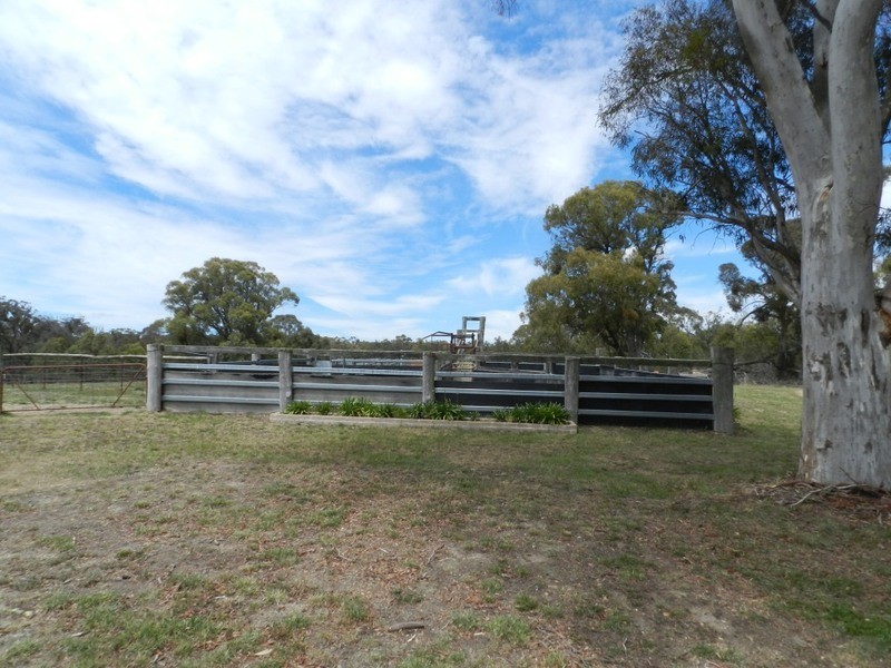 167 Craigs  Road, Yalbraith NSW 2580