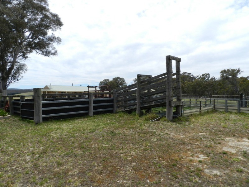 167 Craigs  Road, Yalbraith NSW 2580