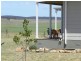 983 Windellama Road, Goulburn NSW 2580