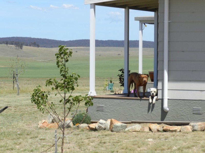 983 Windellama Road, Goulburn NSW 2580