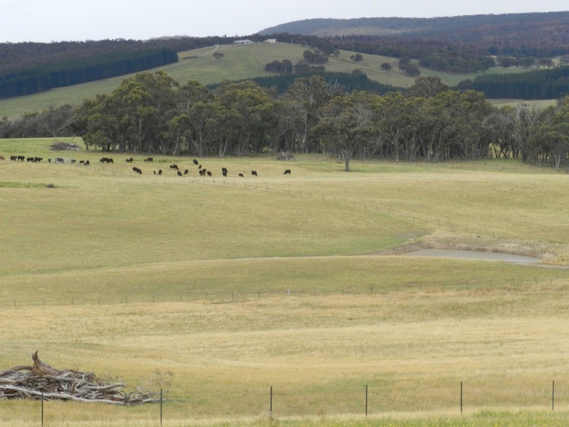 280 Craigs Road, Taralga NSW 2580