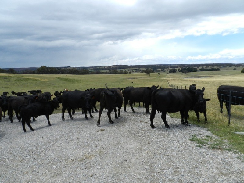 280 Craigs Road, Taralga NSW 2580