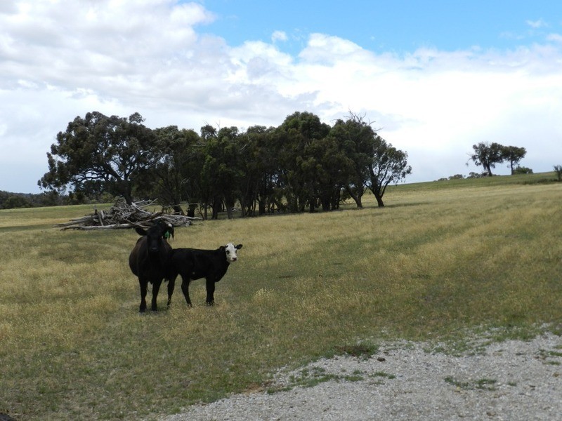 280 Craigs Road, Taralga NSW 2580