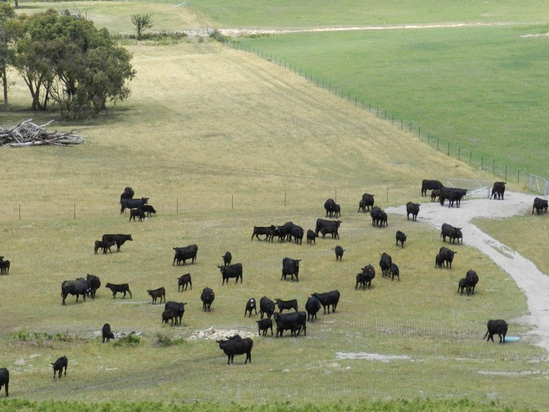 280 Craigs Road, Taralga NSW 2580