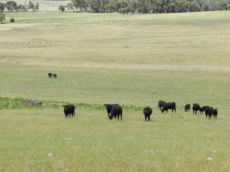 280 Craigs Road, Taralga NSW 2580