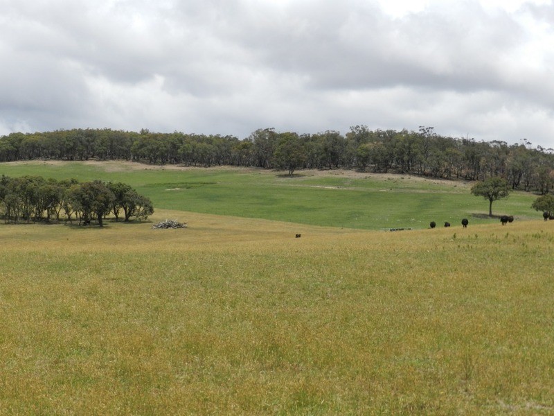 280 Craigs Road, Taralga NSW 2580