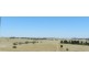 Lot 32 The Meadows Bonnett Park Drive, Goulburn NSW 2580
