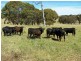 Lot 1 Bannister Lane, Gurrundah NSW 2581