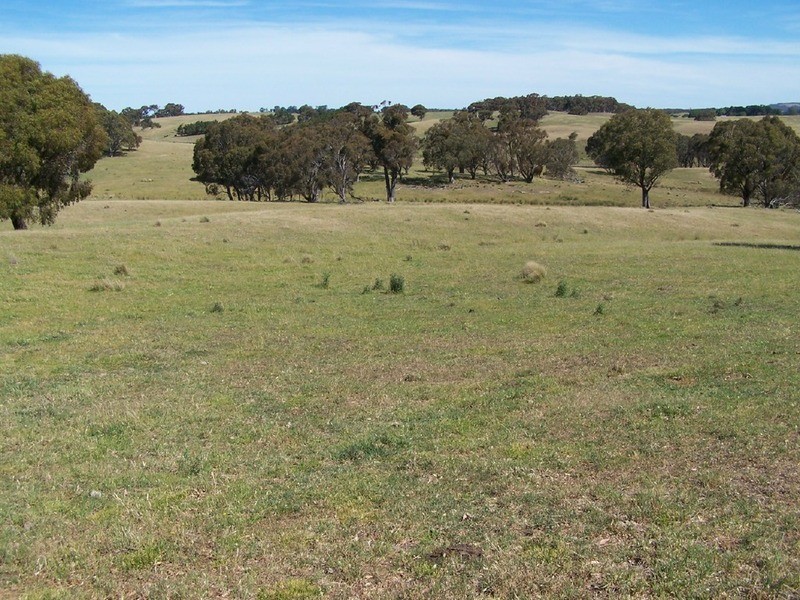 Lot 1 Bannister Lane, Gurrundah NSW 2581