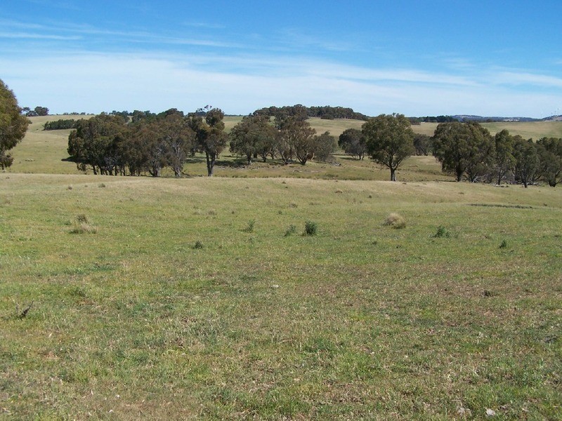 Lot 1 Bannister Lane, Gurrundah NSW 2581