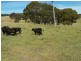 Lot 1 Bannister Lane, Gurrundah NSW 2581