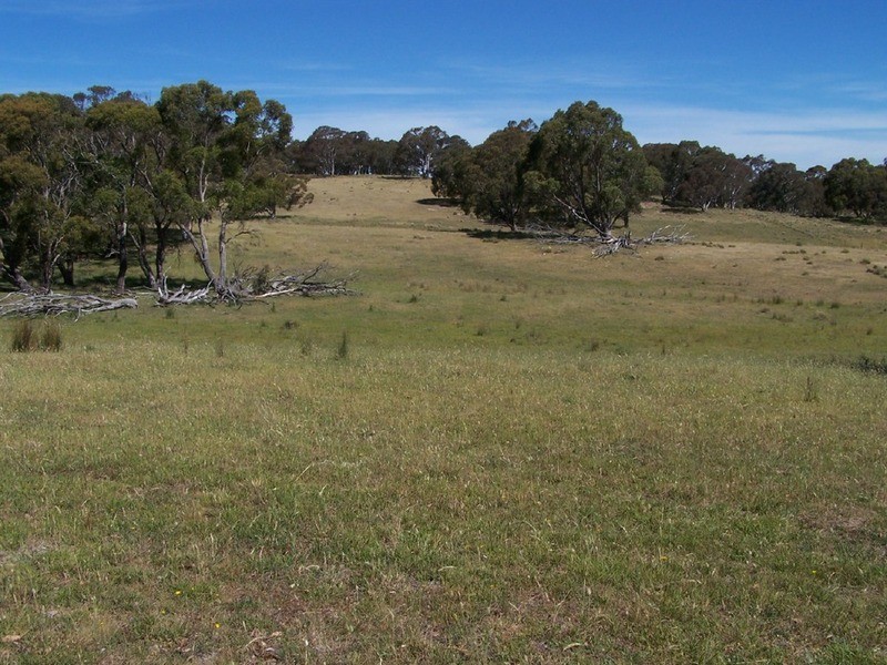 Lot 1 Bannister Lane, Gurrundah NSW 2581