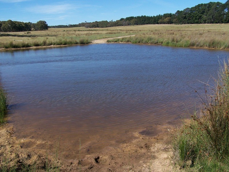 Lot 1 Bannister Lane, Gurrundah NSW 2581