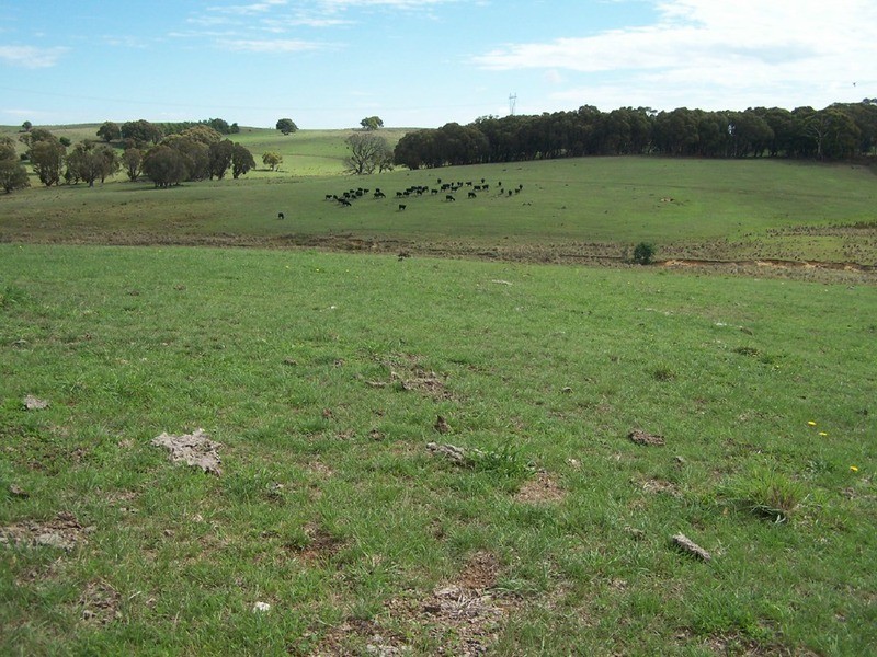 Lot 1 Bannister Lane, Gurrundah NSW 2581