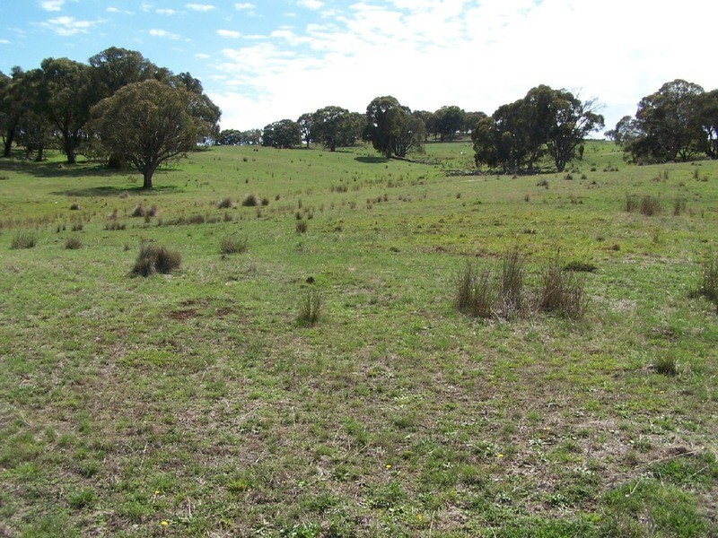 Lot 1 Bannister Lane, Gurrundah NSW 2581