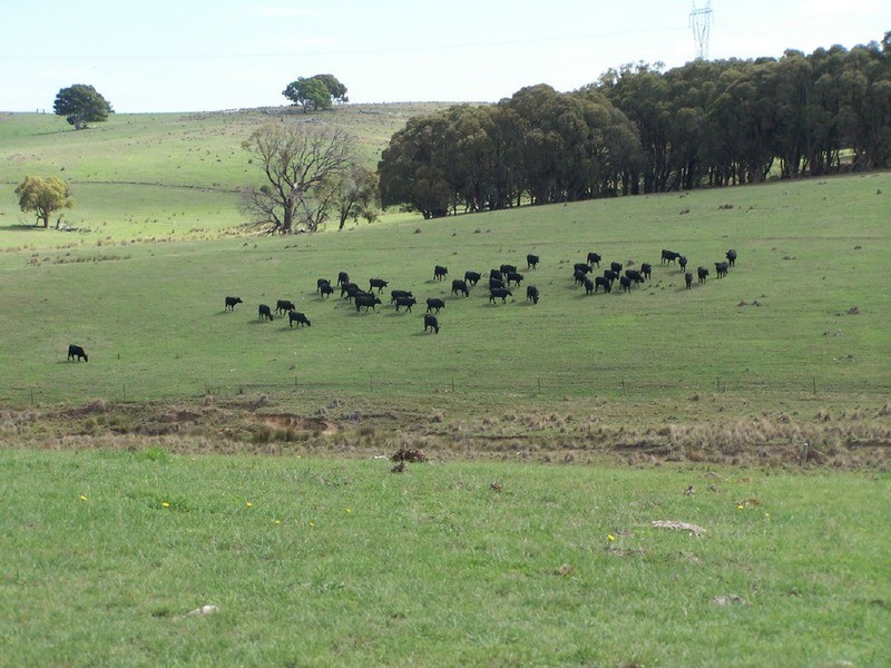 Lot 1 Bannister Lane, Gurrundah NSW 2581