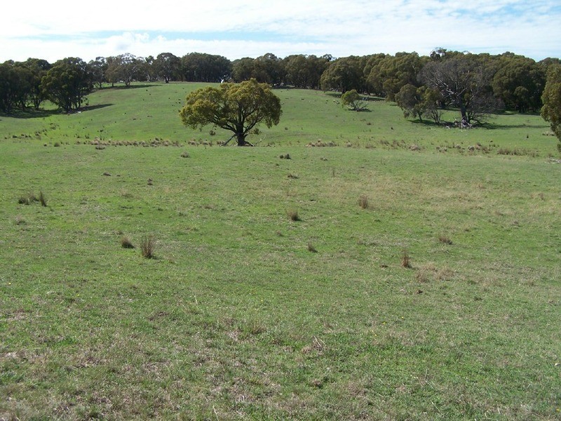 Lot 1 Bannister Lane, Gurrundah NSW 2581