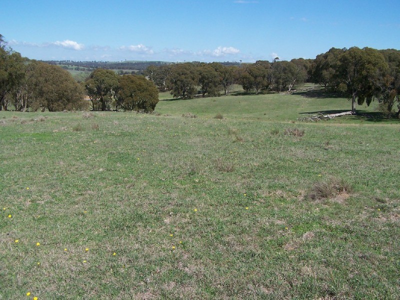 Lot 1 Bannister Lane, Gurrundah NSW 2581