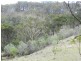 1587 Bannaby  Road, Taralga NSW 2580