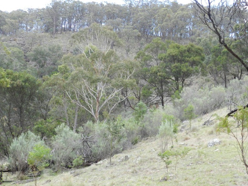 1587 Bannaby  Road, Taralga NSW 2580