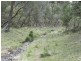 1587 Bannaby  Road, Taralga NSW 2580