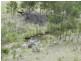 1587 Bannaby  Road, Taralga NSW 2580