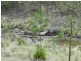 1587 Bannaby  Road, Taralga NSW 2580