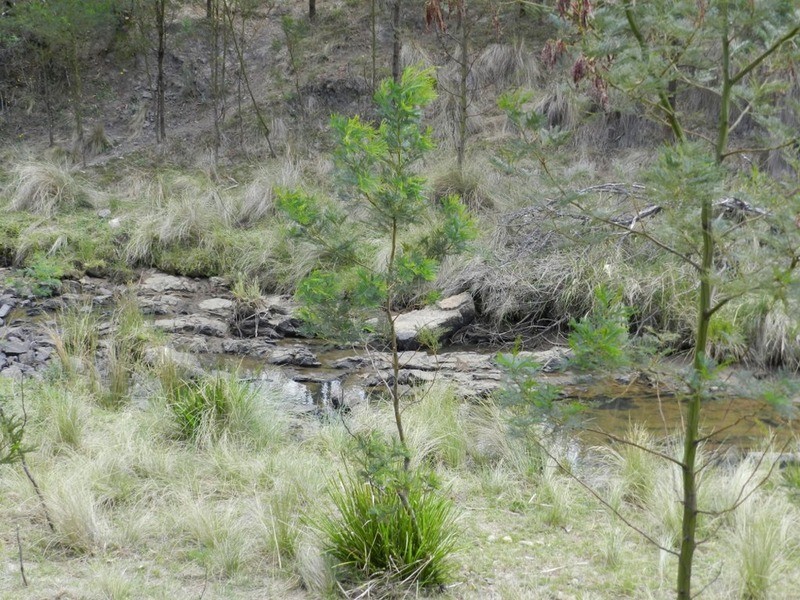 1587 Bannaby  Road, Taralga NSW 2580