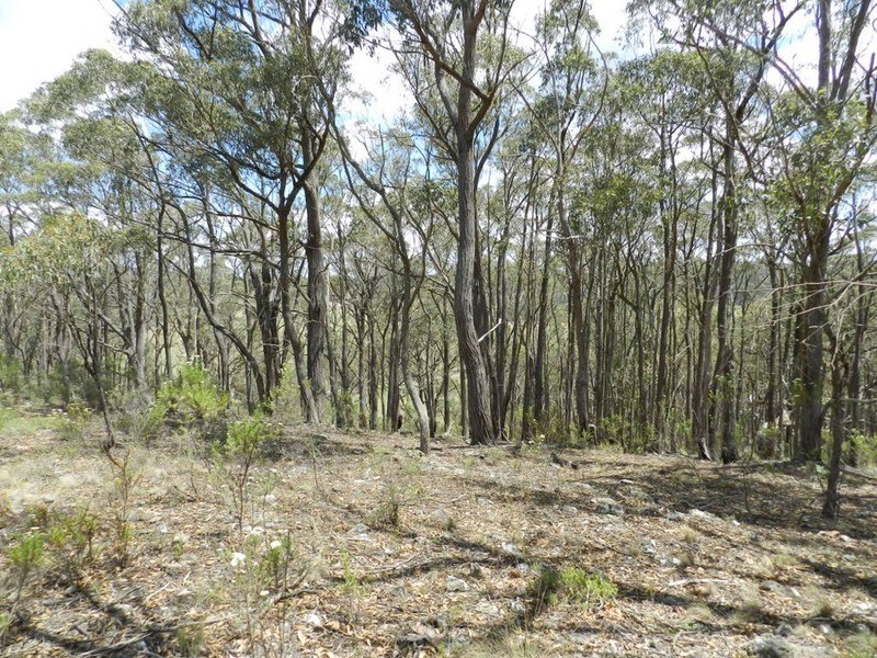 1587 Bannaby  Road, Taralga NSW 2580