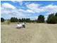 3602 Lumley Road, Tarago NSW 2580