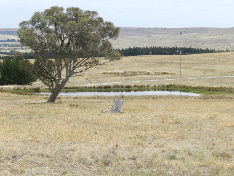 13 Sandy Creek Road, Parkesbourne NSW 2580