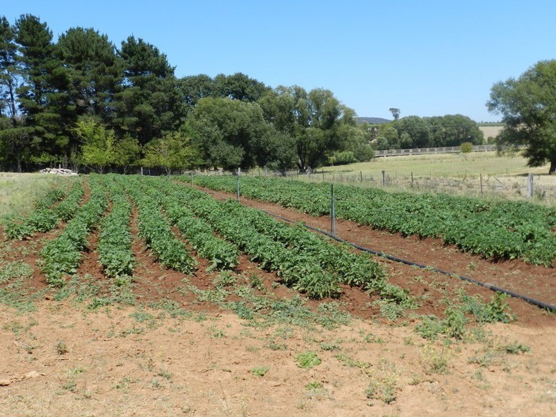 706 Crookwell Road, Goulburn NSW 2580