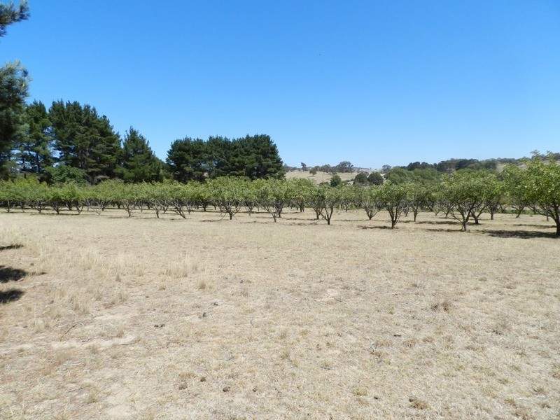 706 Crookwell Road, Goulburn NSW 2580