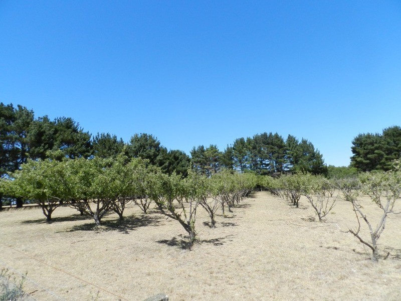 706 Crookwell Road, Goulburn NSW 2580