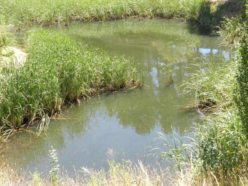 706 Crookwell Road, Goulburn NSW 2580