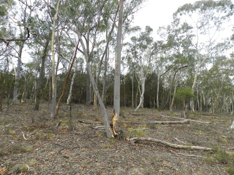 209 Mclaughlin Road, Goulburn NSW 2580