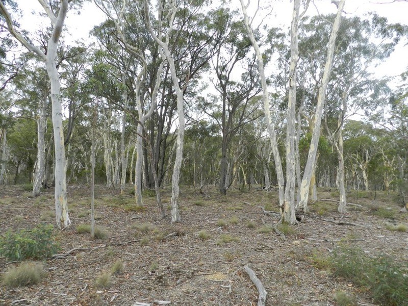 209 Mclaughlin Road, Goulburn NSW 2580