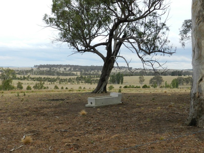 2168 Brayton Road, Marulan NSW 2579