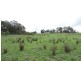 2168 Brayton Road, Marulan NSW 2579