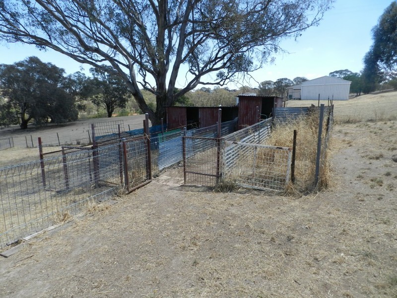 191 Yewrangara Street, Bigga NSW 2583