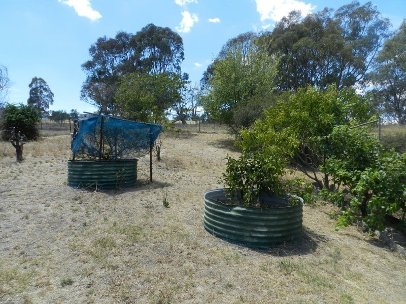 191 Yewrangara Street, Bigga NSW 2583