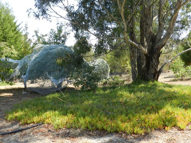1643 Mountain Ash Road, Bungonia NSW 2580