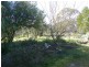 1643 Mountain Ash Road, Bungonia NSW 2580
