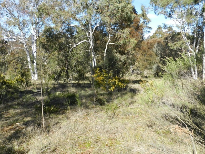1643 Mountain Ash Road, Bungonia NSW 2580