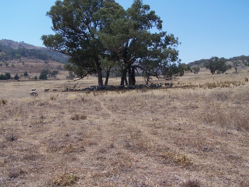 142 Streamville Road, Bigga NSW 2583