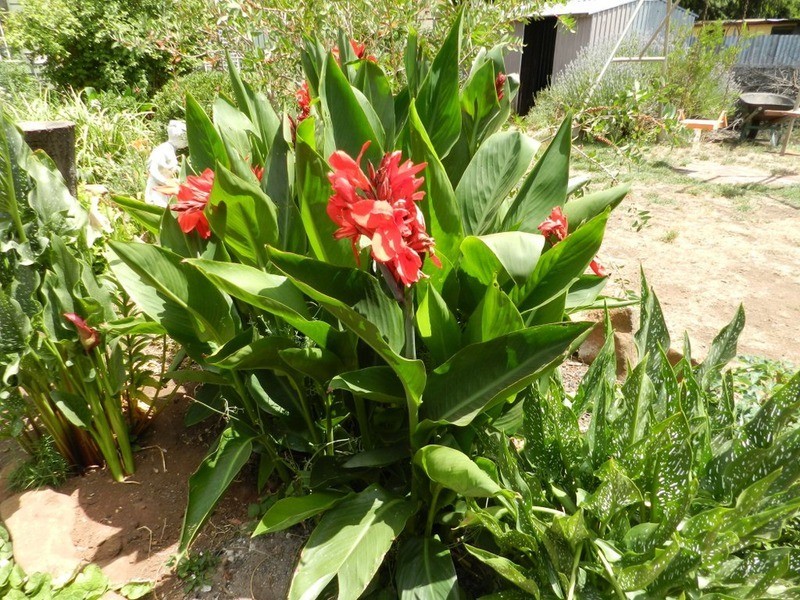 27 Wolseley  Road, Crookwell NSW 2583