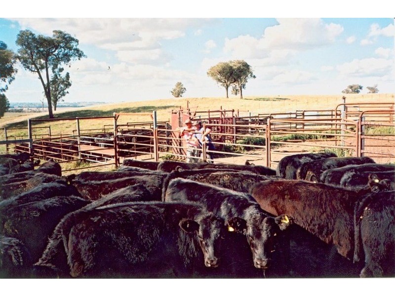 Lot 67 Golspie  Road, Laggan NSW 2583