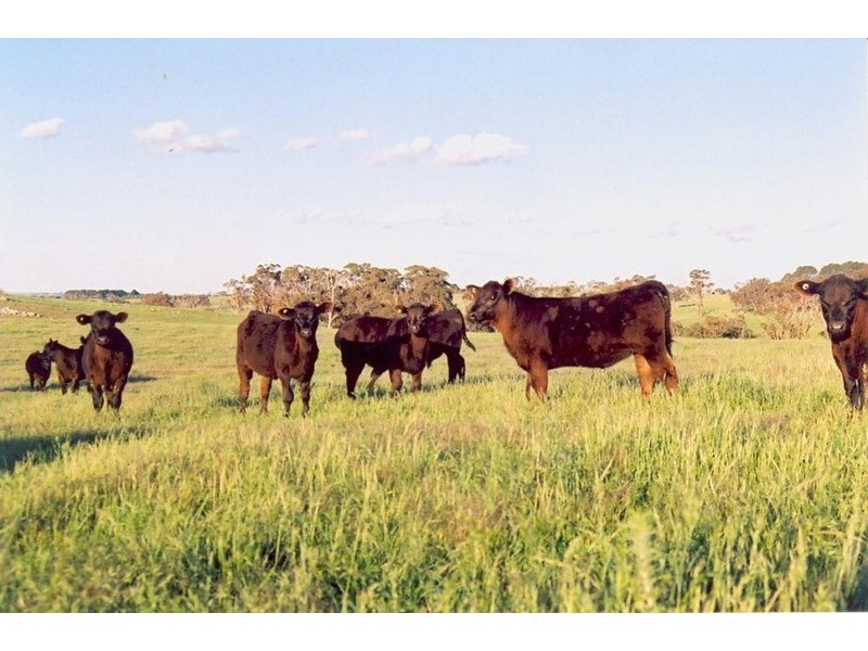 Lot 67 Golspie  Road, Laggan NSW 2583